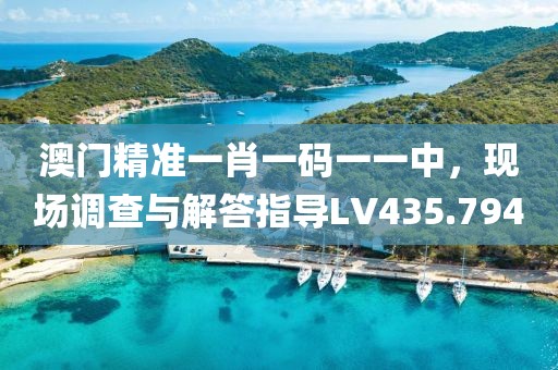 澳门精准一肖一码一一中，现场调查与解答指导LV435.794