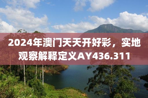 2024年澳门天天开好彩，实地观察解释定义AY436.311