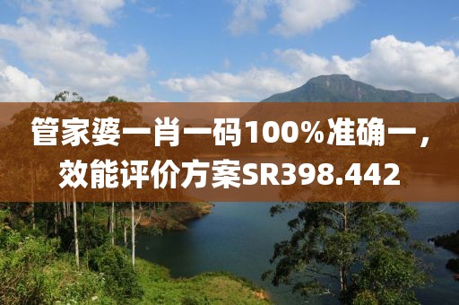 管家婆一肖一码100%准确一，效能评价方案SR398.442
