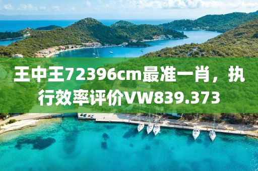 王中王72396cm最准一肖，执行效率评价VW839.373