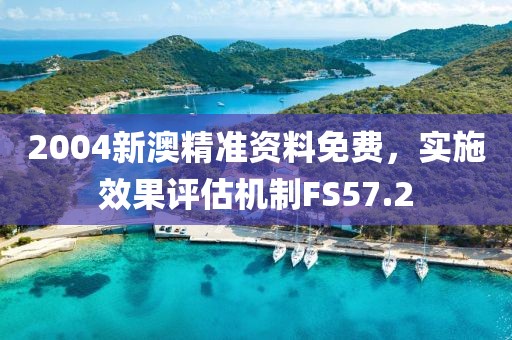 2004新澳精准资料免费，实施效果评估机制FS57.2