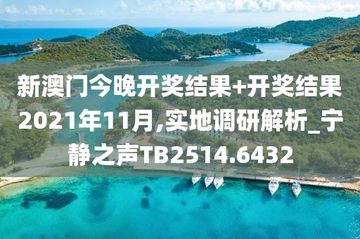 新澳门今晚开奖结果+开奖结果2021年11月,实地调研解析_宁静之声TB2514.6432
