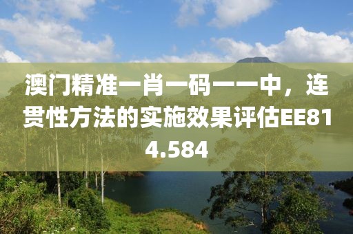 澳门精准一肖一码一一中，连贯性方法的实施效果评估EE814.584