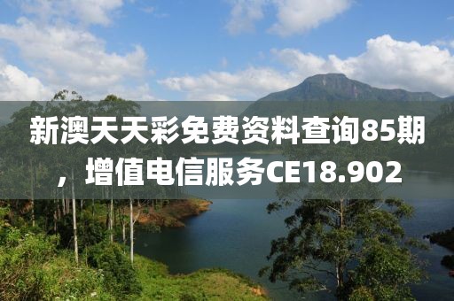新澳天天彩免费资料查询85期，增值电信服务CE18.902