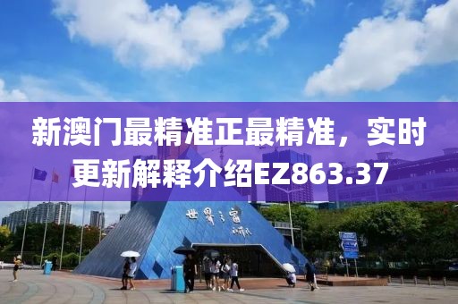 新澳门最精准正最精准，实时更新解释介绍EZ863.37