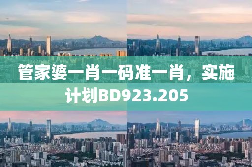 管家婆一肖一码准一肖，实施计划BD923.205