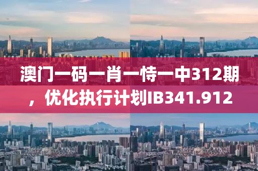 澳门一码一肖一恃一中312期，优化执行计划IB341.912
