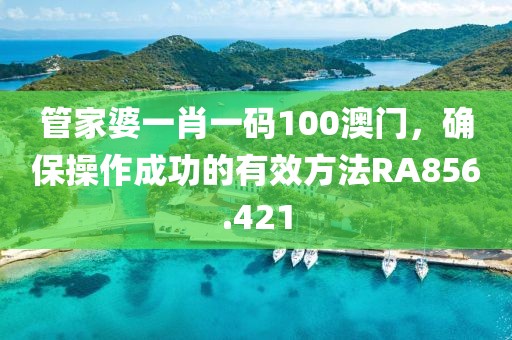 管家婆一肖一码100澳门，确保操作成功的有效方法RA856.421