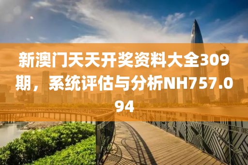 新澳门天天开奖资料大全309期，系统评估与分析NH757.094