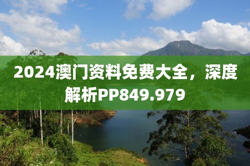 2024澳门资料免费大全，深度解析PP849.979