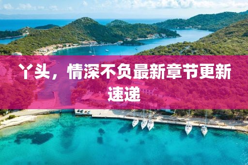 丫头，情深不负最新章节更新速递