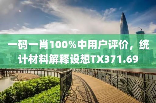 一码一肖100%中用户评价，统计材料解释设想TX371.69
