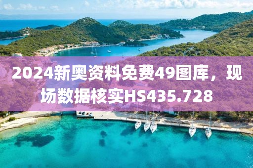 2024新奥资料免费49图库，现场数据核实HS435.728