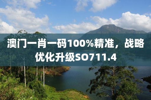 澳门一肖一码100%精准，战略优化升级SO711.4