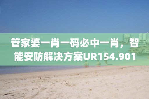 管家婆一肖一码必中一肖，智能安防解决方案UR154.901