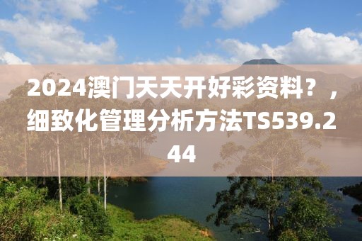 2024澳门天天开好彩资料？，细致化管理分析方法TS539.244