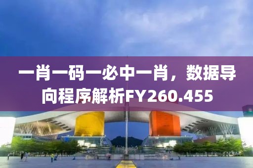 一肖一码一必中一肖，数据导向程序解析FY260.455