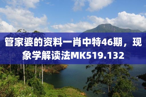 管家婆的资料一肖中特46期，现象学解读法MK519.132