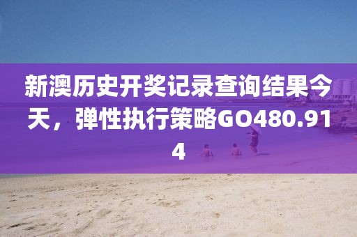 新澳历史开奖记录查询结果今天，弹性执行策略GO480.914