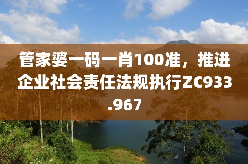 管家婆一码一肖100准，推进企业社会责任法规执行ZC933.967