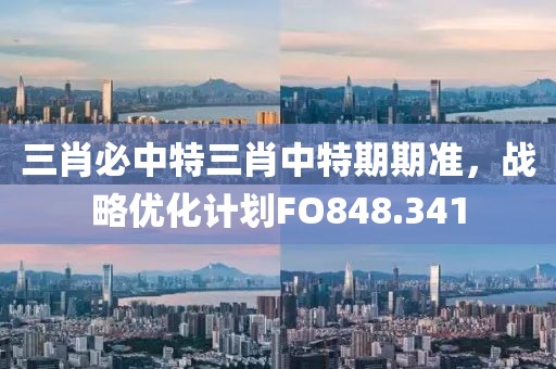三肖必中特三肖中特期期准，战略优化计划FO848.341