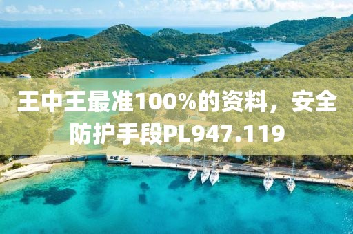 王中王最准100%的资料，安全防护手段PL947.119