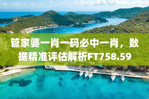 管家婆一肖一码必中一肖，数据精准评估解析FT758.59