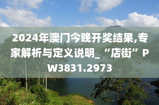 2024年澳门今晚开奖结果,专家解析与定义说明_“店街”PW3831.2973