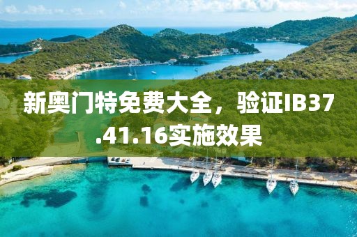 新奥门特免费大全，验证IB37.41.16实施效果