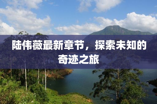 陆伟薇最新章节，探索未知的奇迹之旅
