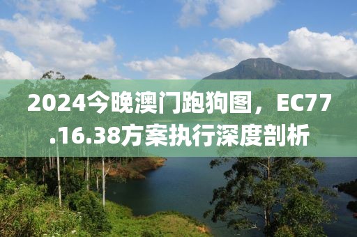 2024今晚澳门跑狗图，EC77.16.38方案执行深度剖析