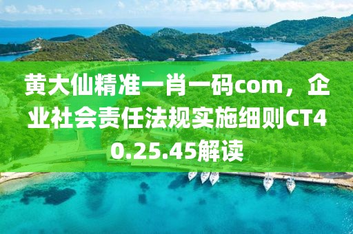 黄大仙精准一肖一码com，企业社会责任法规实施细则CT40.25.45解读