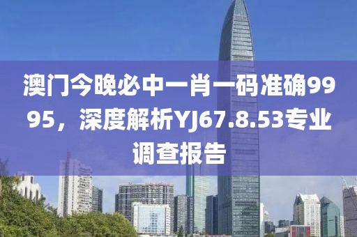 澳门今晚必中一肖一码准确9995，深度解析YJ67.8.53专业调查报告