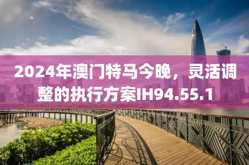 2024年澳门特马今晚，灵活调整的执行方案IH94.55.1