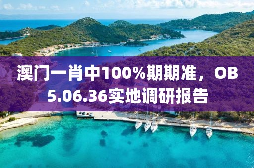 澳门一肖中100%期期准，OB5.06.36实地调研报告
