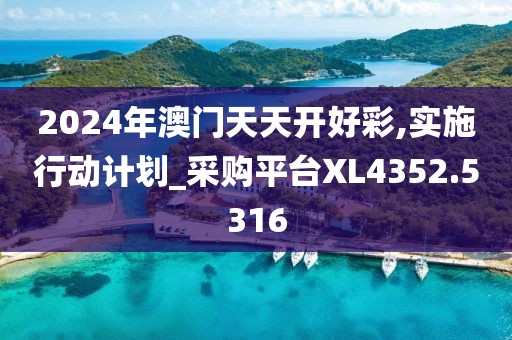 2024年澳门天天开好彩,实施行动计划_采购平台XL4352.5316