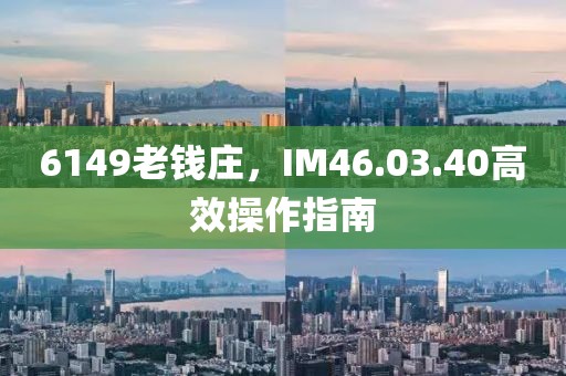 6149老钱庄，IM46.03.40高效操作指南