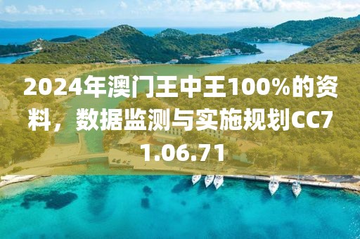 2024年澳门王中王100%的资料，数据监测与实施规划CC71.06.71