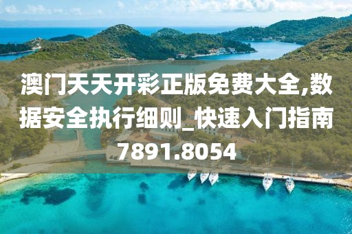 澳门天天开彩正版免费大全,数据安全执行细则_快速入门指南7891.8054