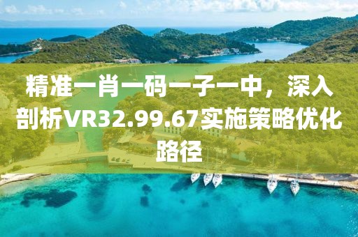 精准一肖一码一子一中，深入剖析VR32.99.67实施策略优化路径
