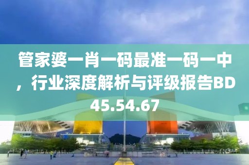管家婆一肖一码最准一码一中，行业深度解析与评级报告BD45.54.67