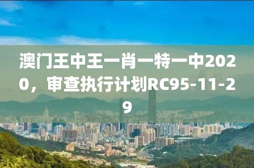 澳门王中王一肖一特一中2020，审查执行计划RC95-11-29