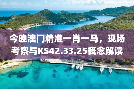 今晚澳门精准一肖一马，现场考察与KS42.33.25概念解读