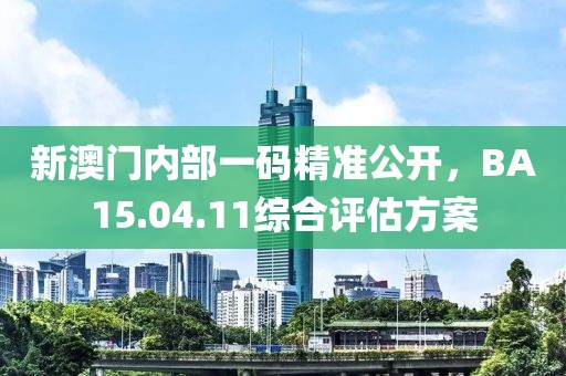 新澳门内部一码精准公开，BA15.04.11综合评估方案