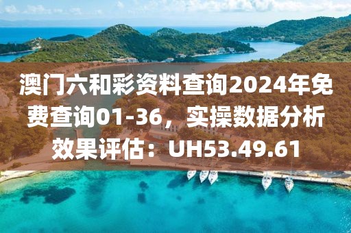 澳门六和彩资料查询2024年免费查询01-36，实操数据分析效果评估：UH53.49.61
