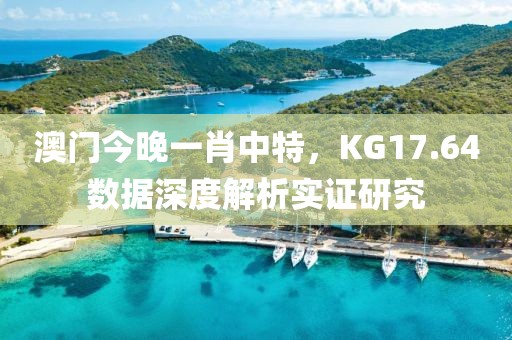 澳门今晚一肖中特，KG17.64数据深度解析实证研究