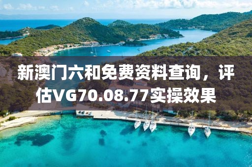 新澳门六和免费资料查询，评估VG70.08.77实操效果