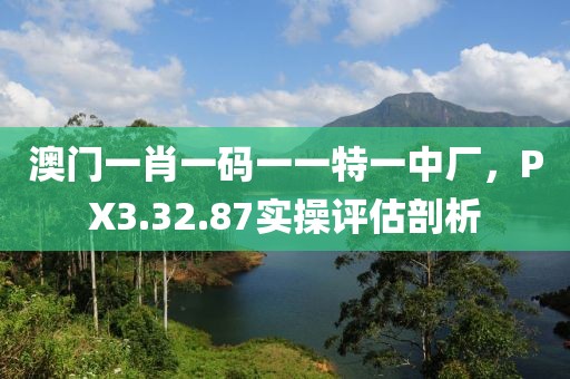澳门一肖一码一一特一中厂，PX3.32.87实操评估剖析