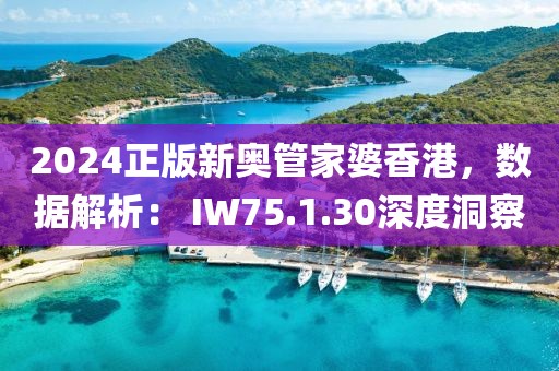 2024正版新奥管家婆香港，数据解析： IW75.1.30深度洞察