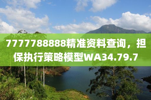 7777788888精准资料查询，担保执行策略模型WA34.79.7